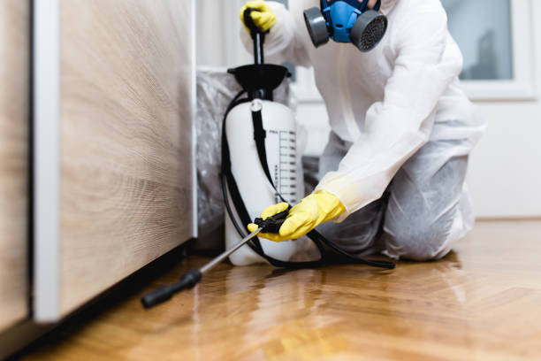Best Affordable Pest Control Services  in Five Points, FL