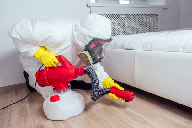 Best Pest Removal Services  in Five Points, FL