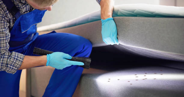 Best Affordable Pest Control Services  in Five Points, FL