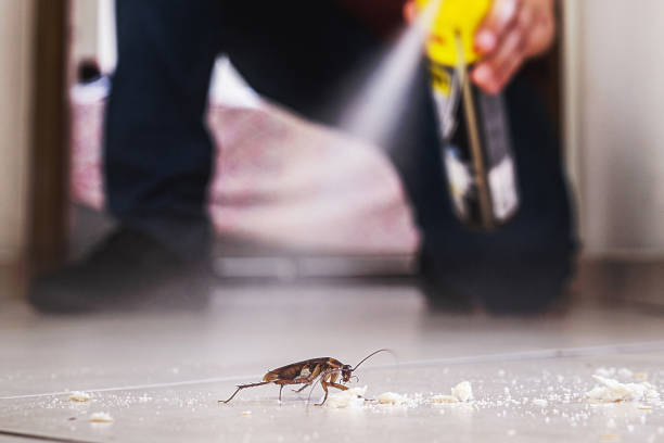 Best Residential Pest Control  in Five Points, FL